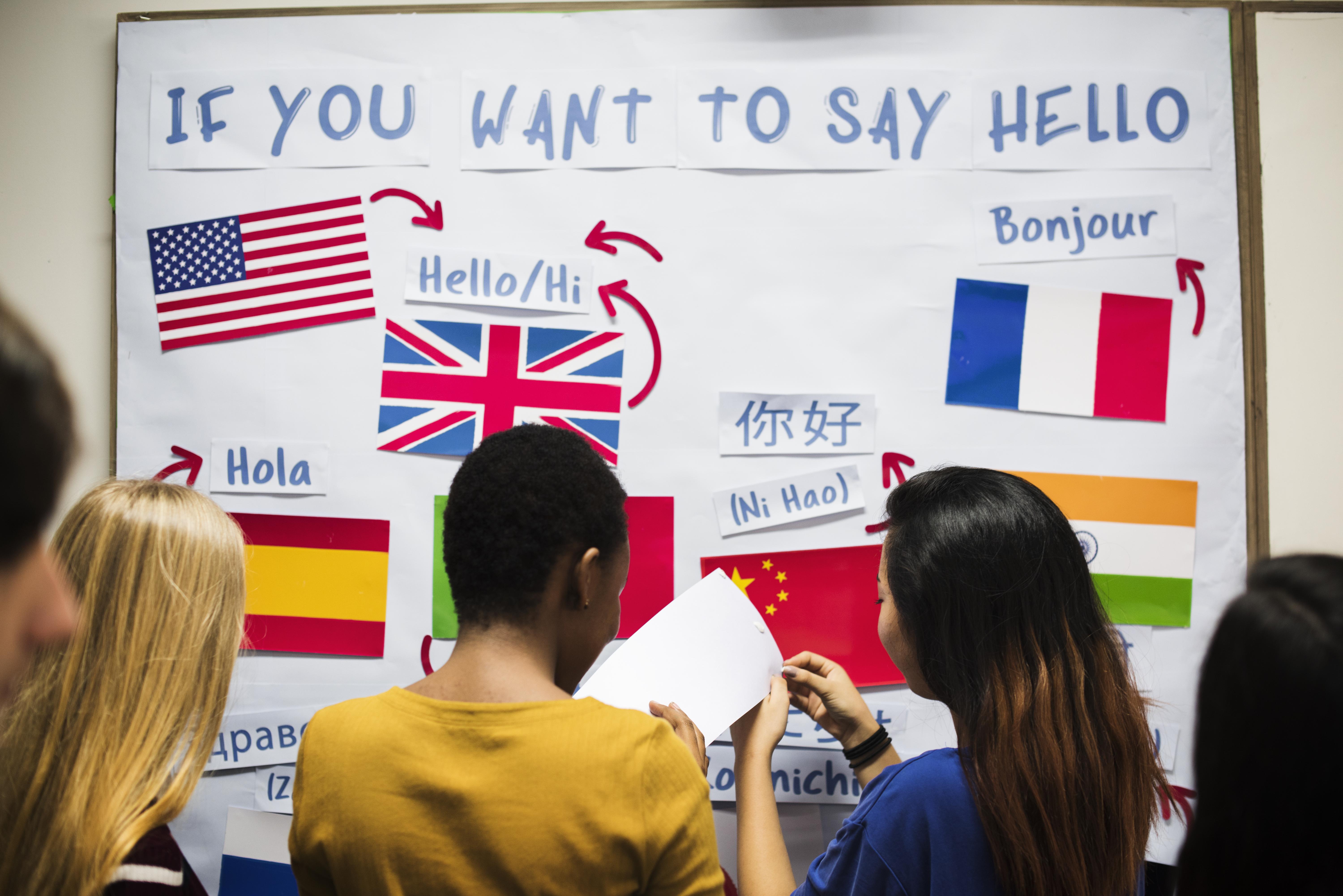 Language Learning and Translation